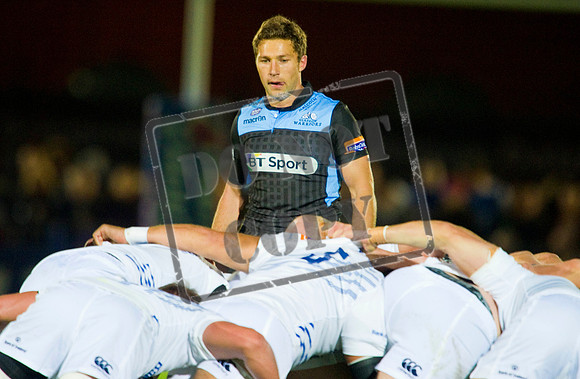 Glasgow Warriors Rugby
