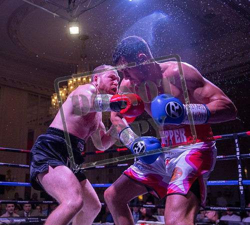 Fightzone boxing