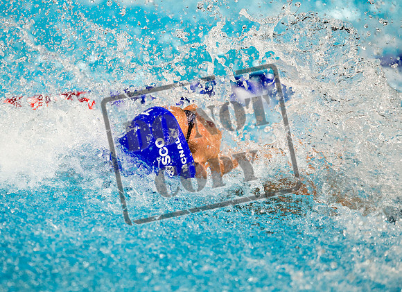 Jeff Holmes. commonwealth games