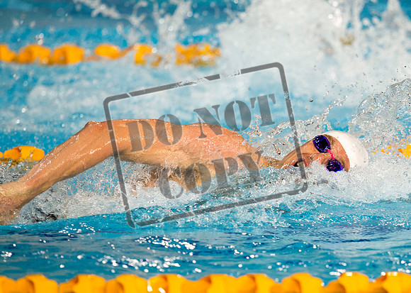 Jeff Holmes. commonwealth games