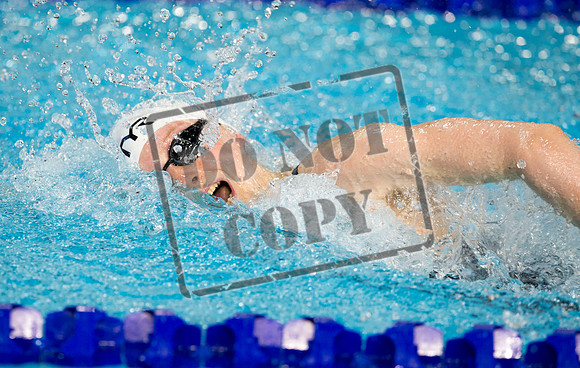 Jeff Holmes. commonwealth games