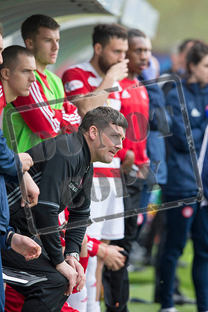 hamilton v ross county
