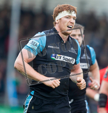 warriors v toulouse