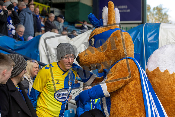 Kilmarnock v Livingston