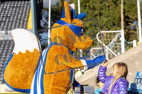 Kilmarnock v Livingston