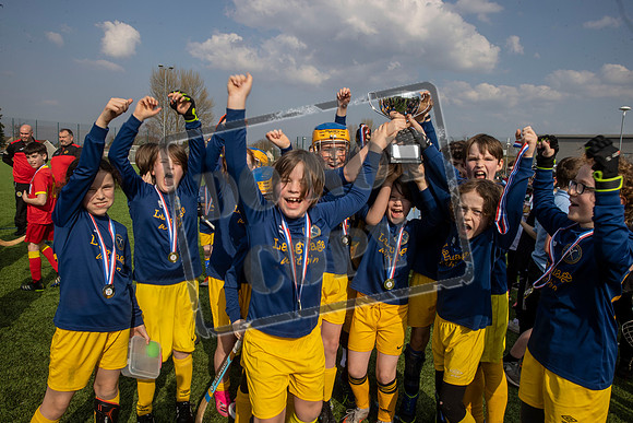 gaelic sport