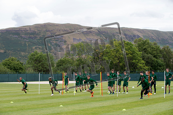 celtic