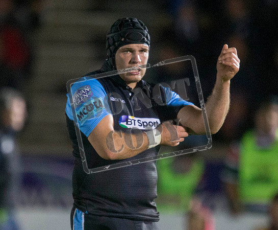 glasgow warriors