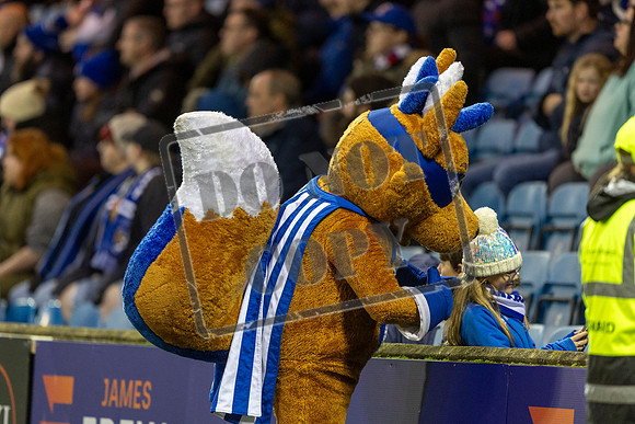 Kilmarnock v motherwell