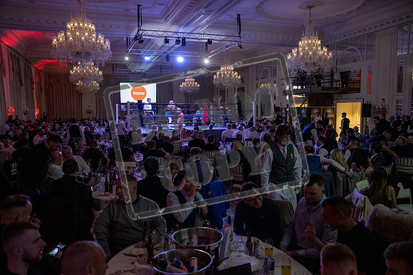 Fightzone boxing