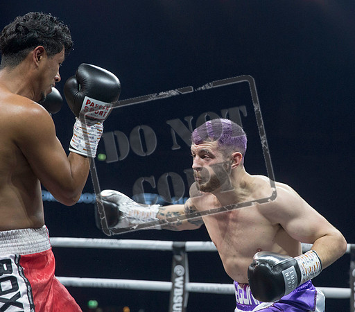 BOXING Glasgow