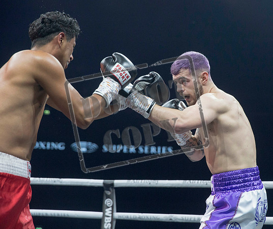 BOXING Glasgow
