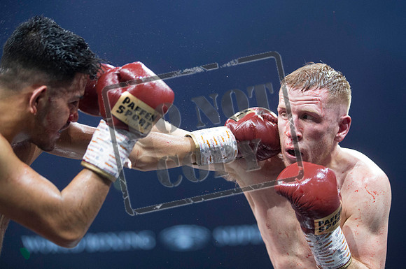 BOXING Glasgow