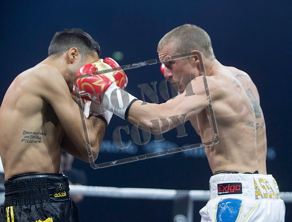 BOXING Glasgow