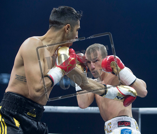 BOXING Glasgow