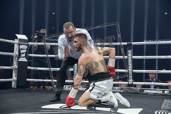 BOXING Glasgow