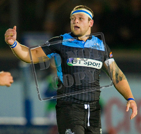 Glasgow Warriors Rugby