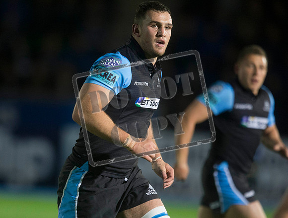 glasgow warriors