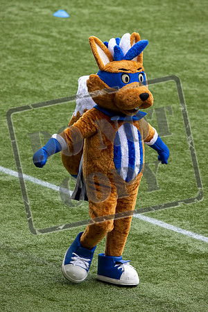 Kilmarnock v Raith Rovers