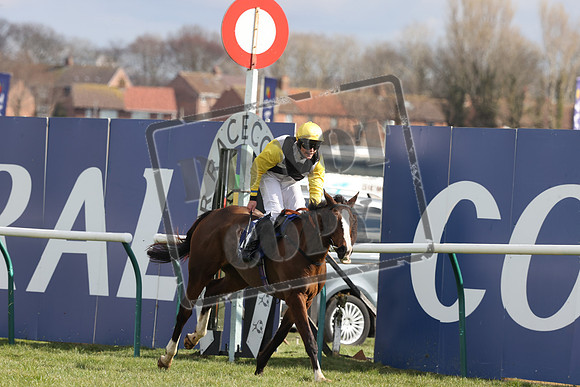 RACING Ayr