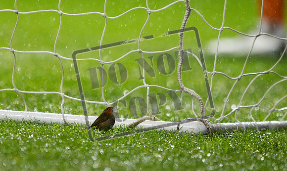 SOCCER Celtic