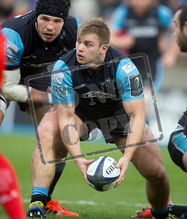 warriors v toulouse