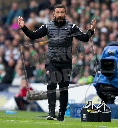 Scottish Cup