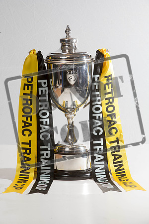 trophy, 2015, challange cup