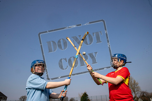 gaelic sport