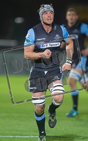 glasgow warriors