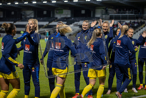 Scotland v Sweden,