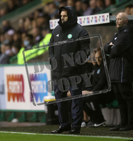 hibs v celtic