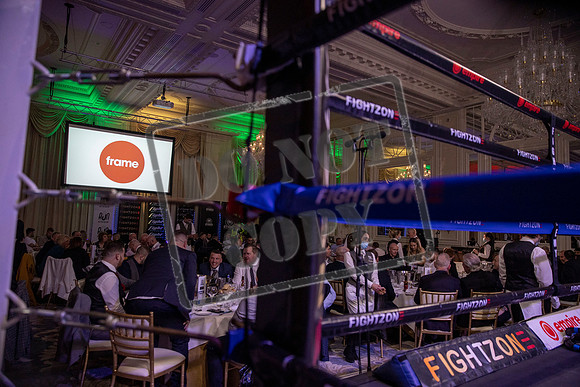 Fightzone boxing