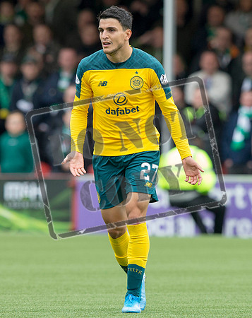 SOCCER Hamilton