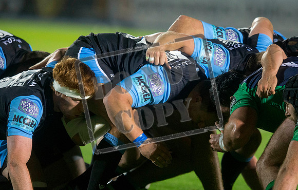 glasgow warriors