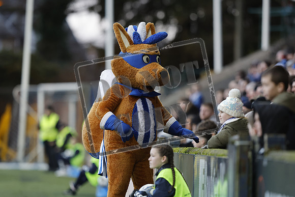 Kilmarnock v Cove Rangers