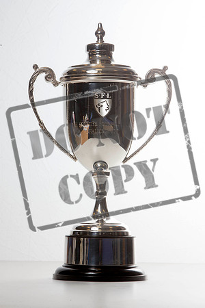 trophy, 2015,