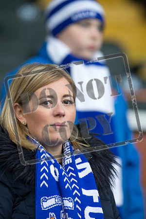 Kilmarnock v Hamilton, Rugby Park Kilmarnock