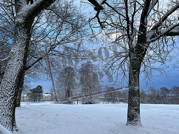 storm gladys snow