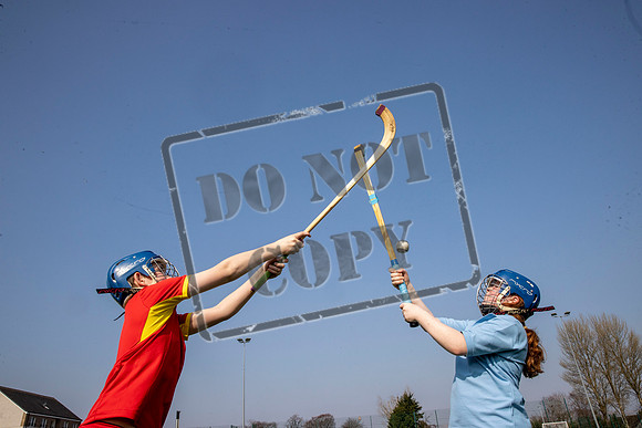 gaelic sport