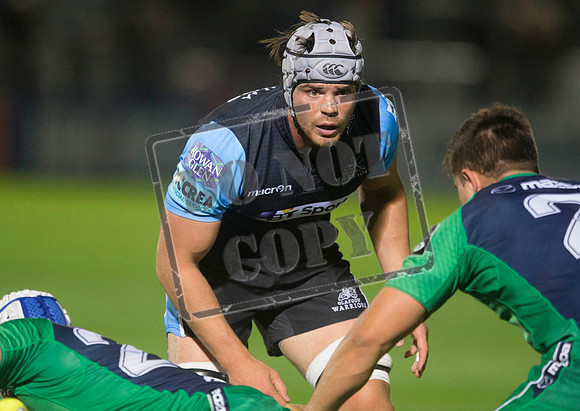 glasgow warriors