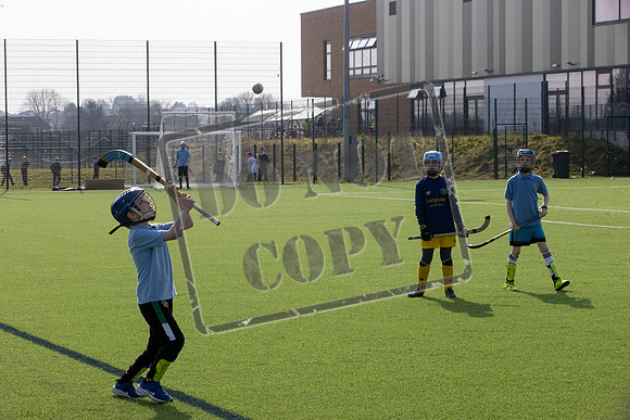 gaelic sport