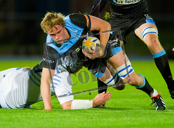 Glasgow Warriors Rugby