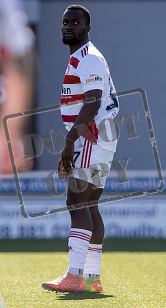 EMP_HAM_ROSS_5050_