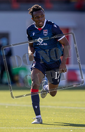 EMP_HAM_ROSS_5050_