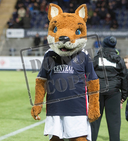 SOCCER Falkirk