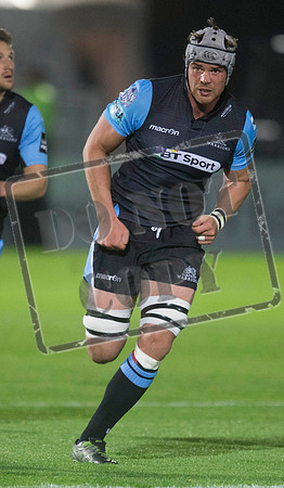 glasgow warriors