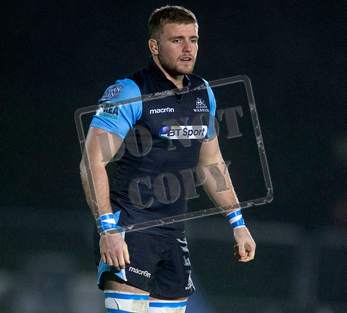 warriors v scarlets