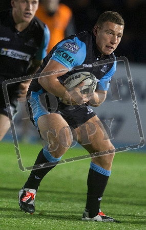 glasgow warriors