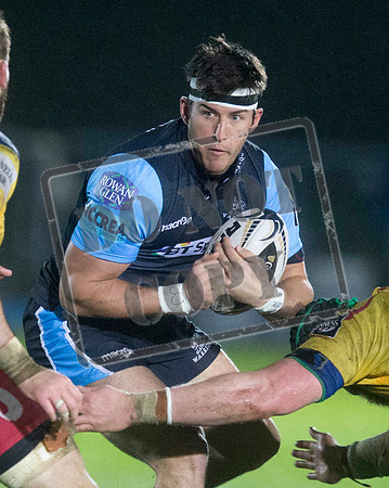 warriors v scarlets